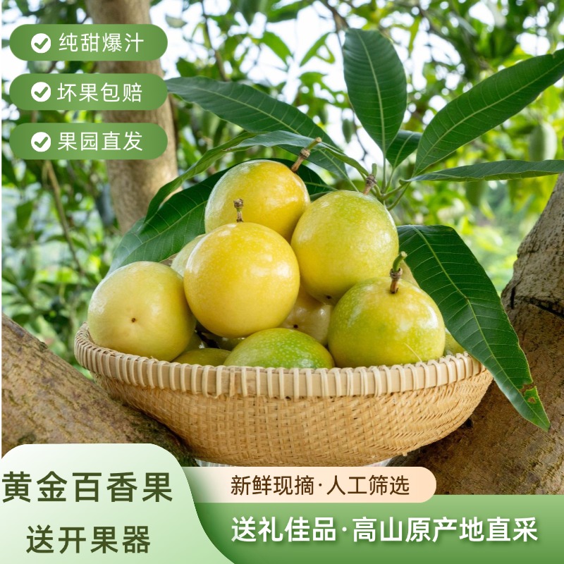 【黄金百香果】云南河口基地直发纯甜新鲜采摘中越