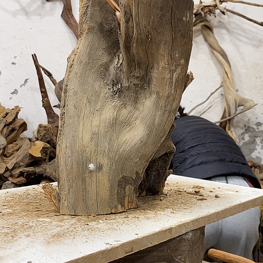 传***平柏木我们都是好孩子