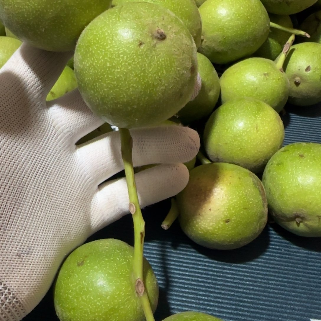 文玩核桃吊坠5个青皮