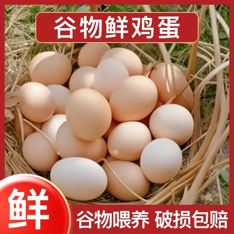 林下散养土鸡蛋【粉壳】