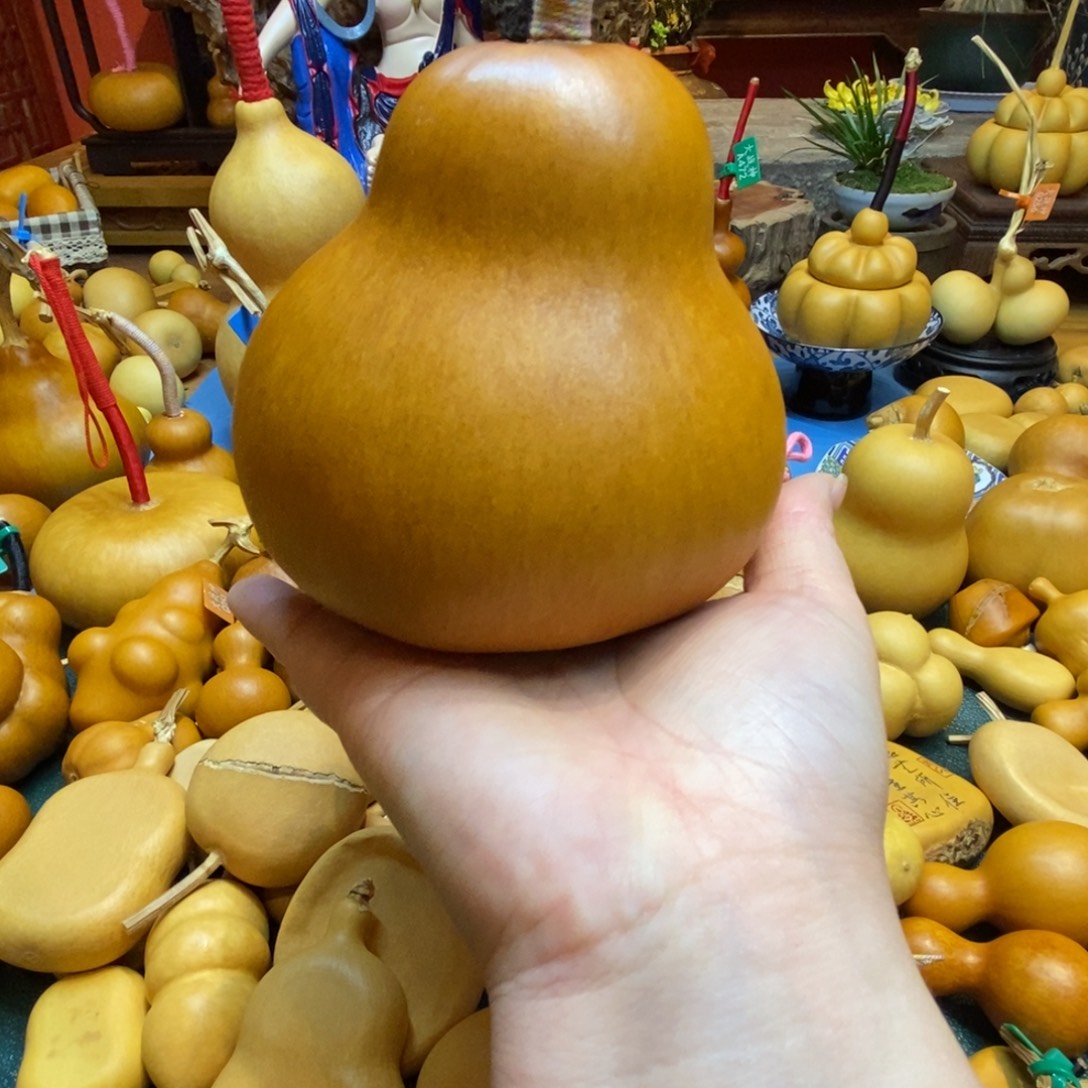 金***海葫芦链接，一物一拍