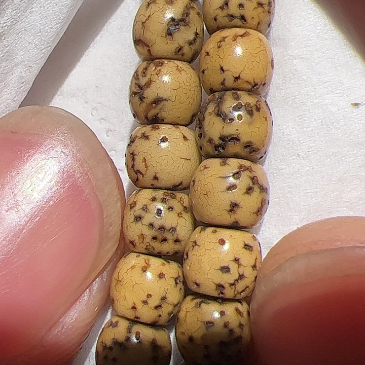 香榧木你的时候你