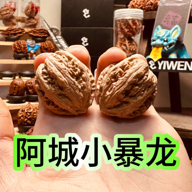 【小暴龙】阿城小暴龙粗筋八棱原生态文玩核桃新手入门