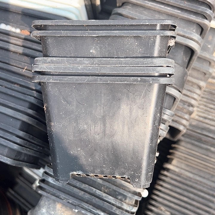 塑料口径11.5高度8.5 黑方一组20个