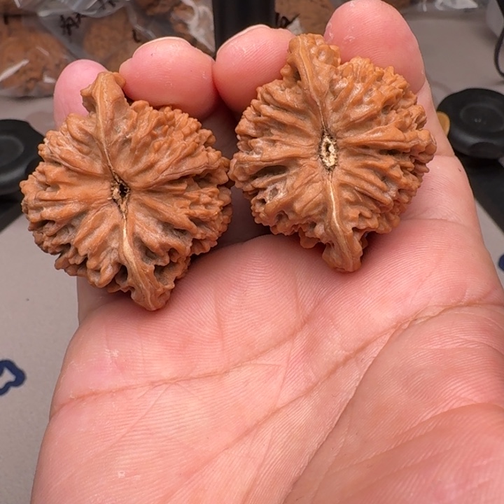 桃核把件山地满天星45尺16