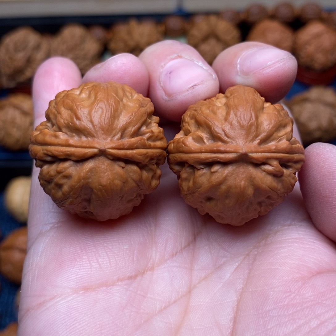 文玩核桃把件手捻卧龙石