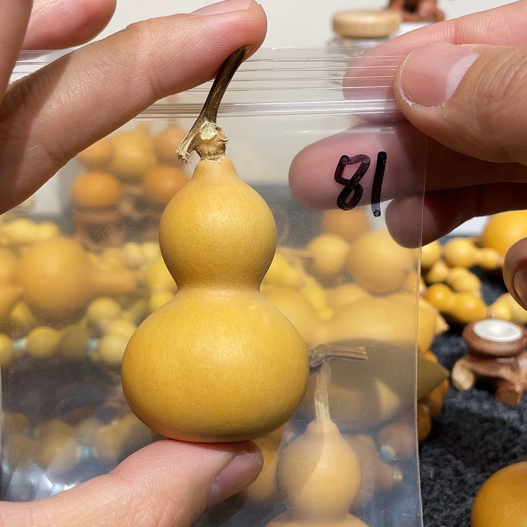 葫芦葫芦葫芦葫芦81号