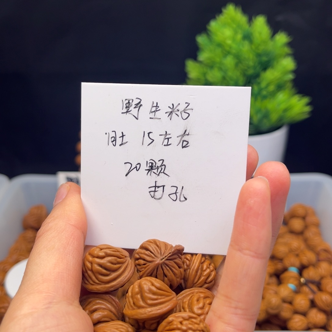 桃核手串野生籽15尺寸
