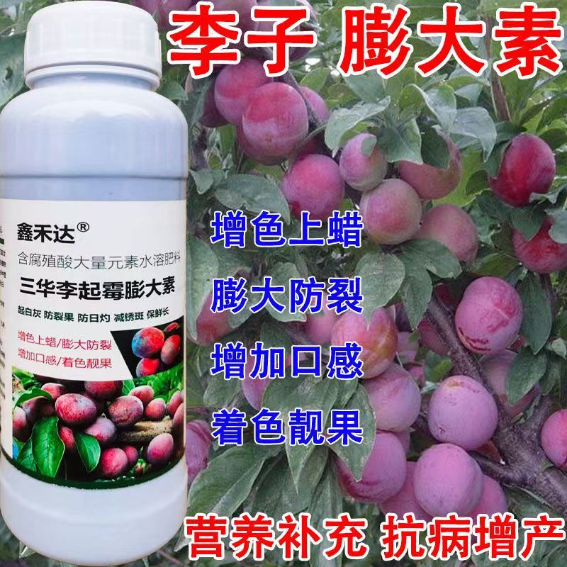 三华李子树膨大素膨大剂抗病增产膨大防裂保花保果李子膨果叶面肥
