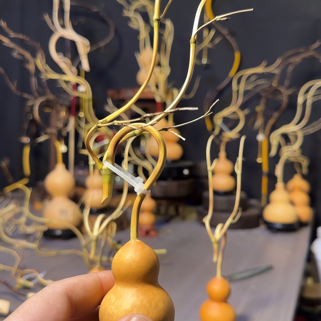 一****手捻葫芦加龙头一套