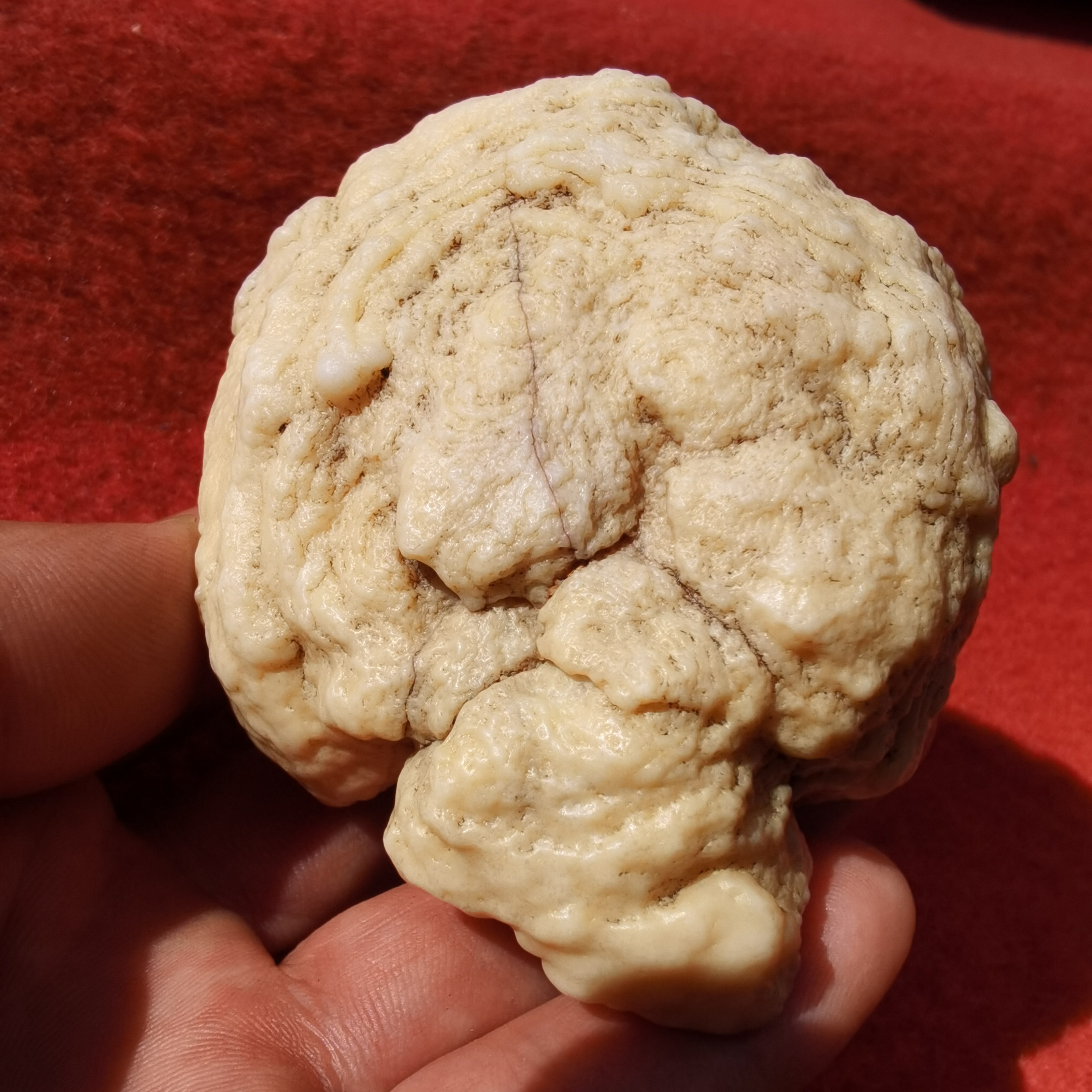 阿左旗沙漠漆装饰摆件