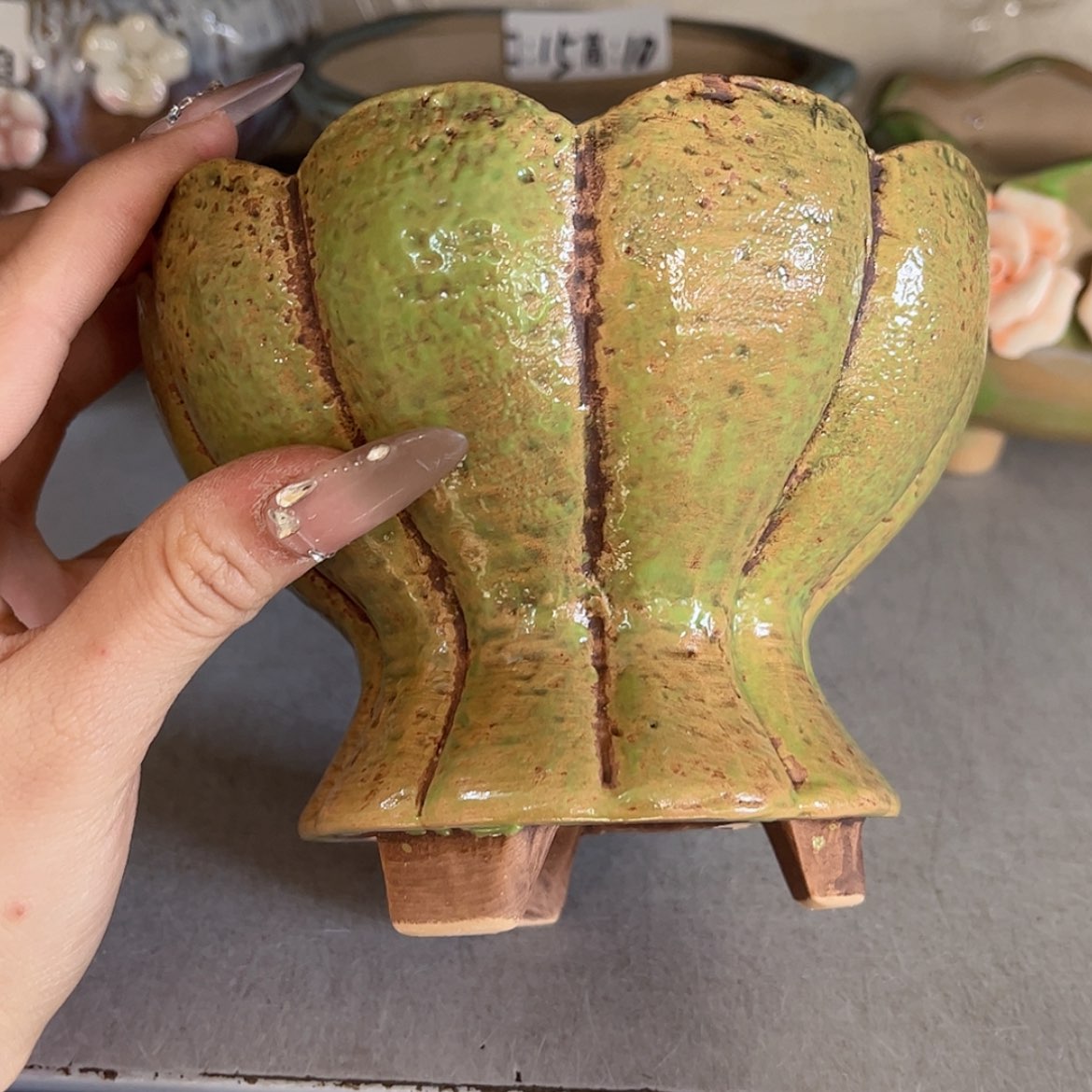 【闪购商品】红陶福利