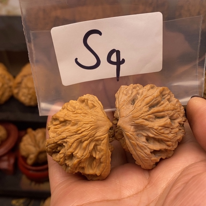 文玩核桃吊坠蛇王