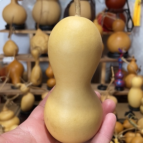 精品厚皮小八宝葫芦