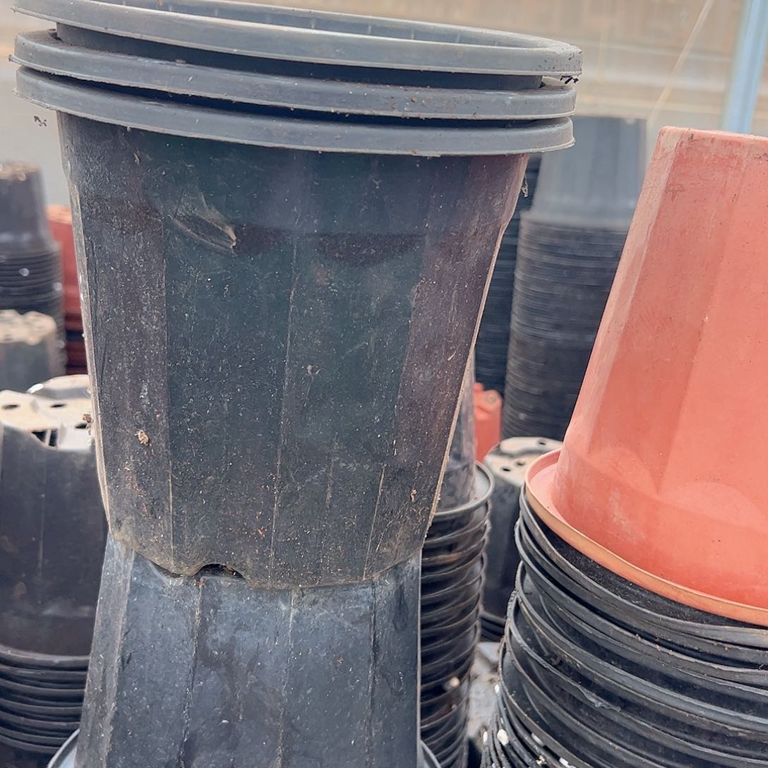 黑砖盆20口径17高 10个