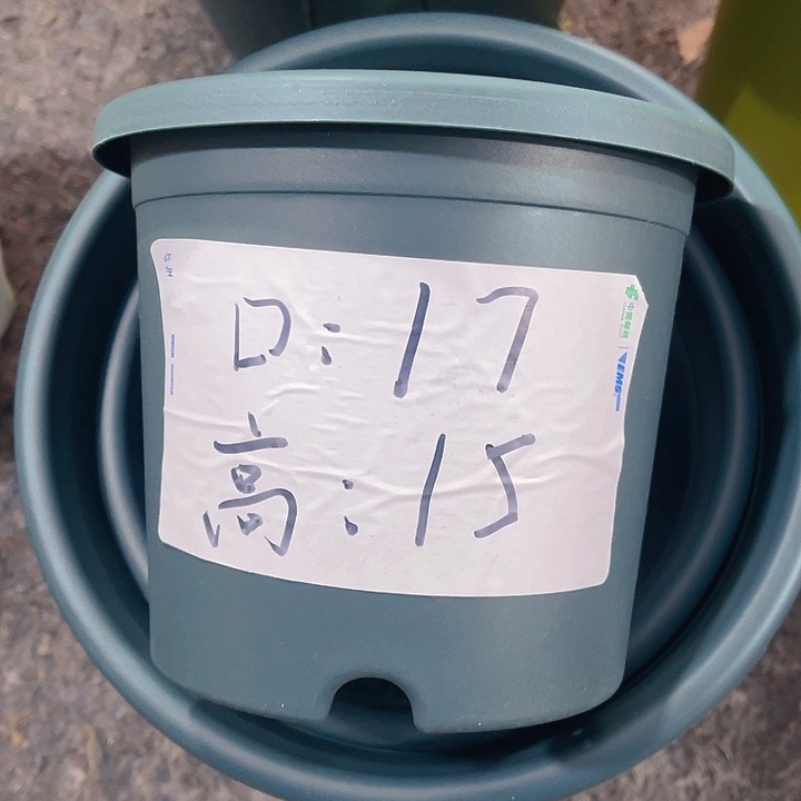 树脂特价2号军绿色10个带托