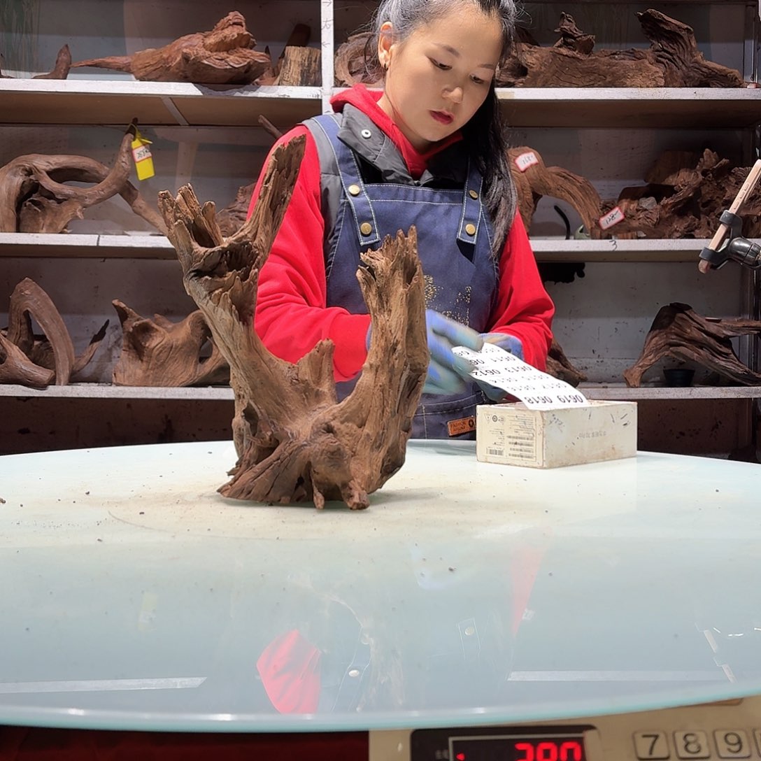 倍诸沉木不包损必褪色小**家0607