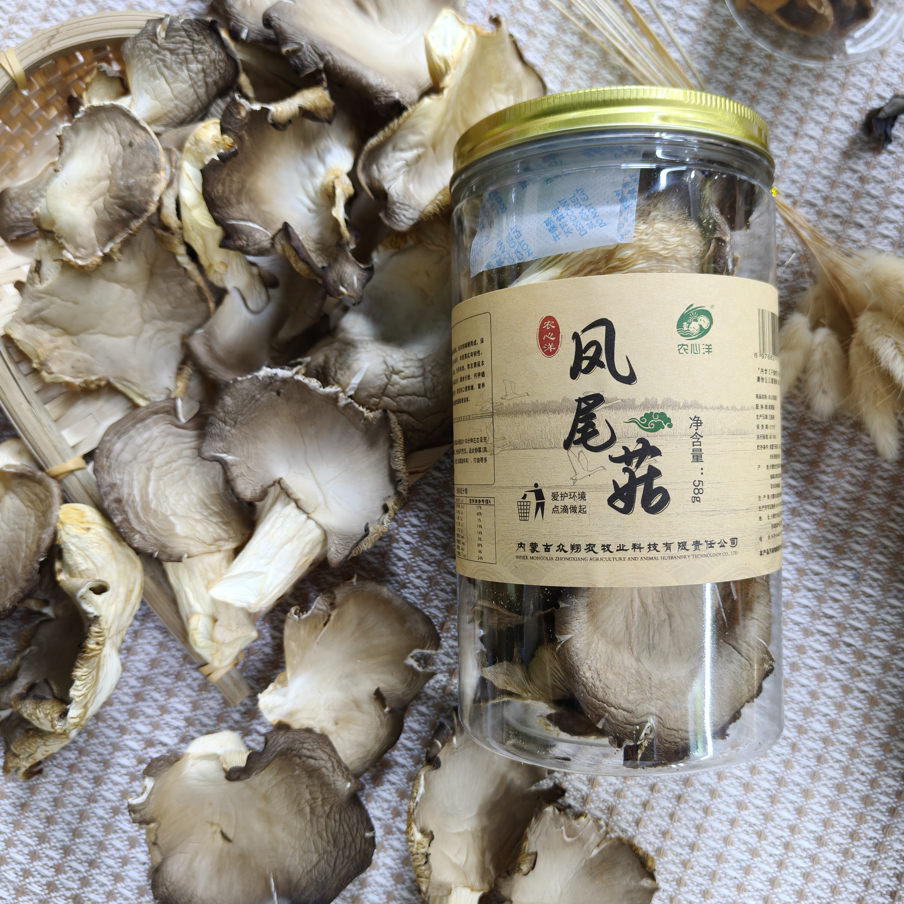 (菌菇)农心洋凤尾菇源头厂家人工种植无添加剂营养丰富