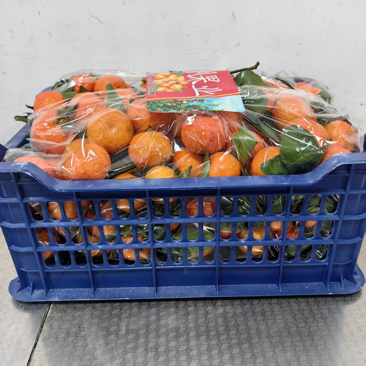 【精选砂糖桔】 整筐带筐12斤左右仅限太原六城区榆次购买