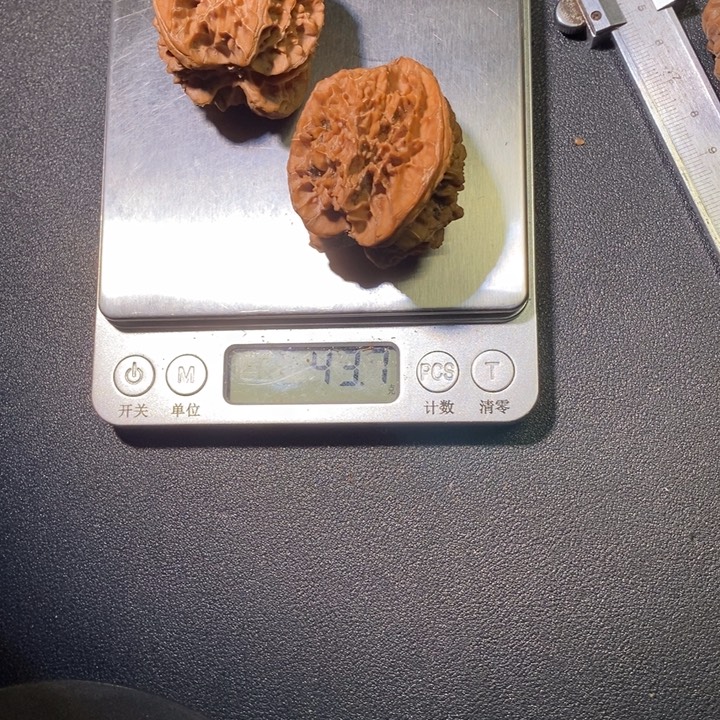 精***）苹果园全111111111