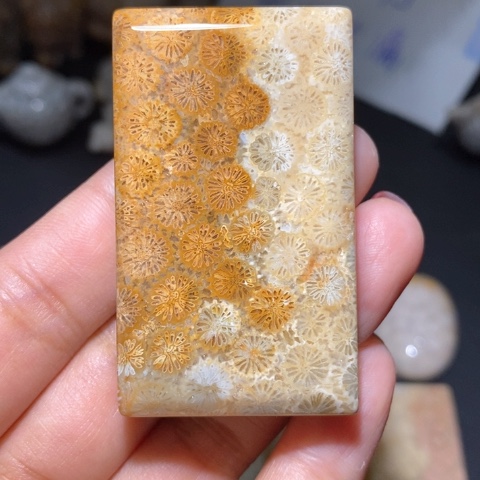 【闪购商品】硅化玉吊坠(不含链)未镶嵌