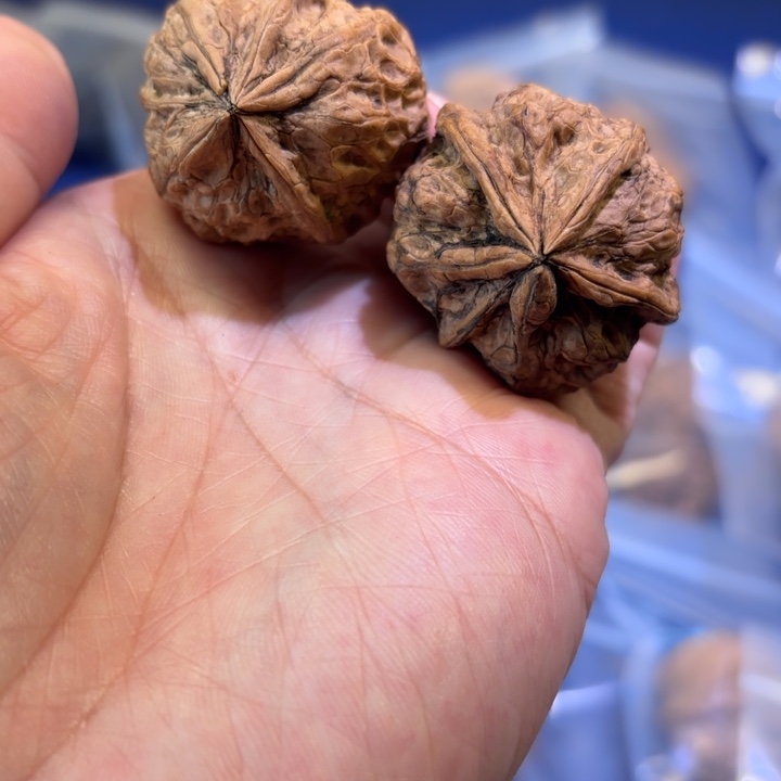 吊坠文玩核桃飘雪五棱异形