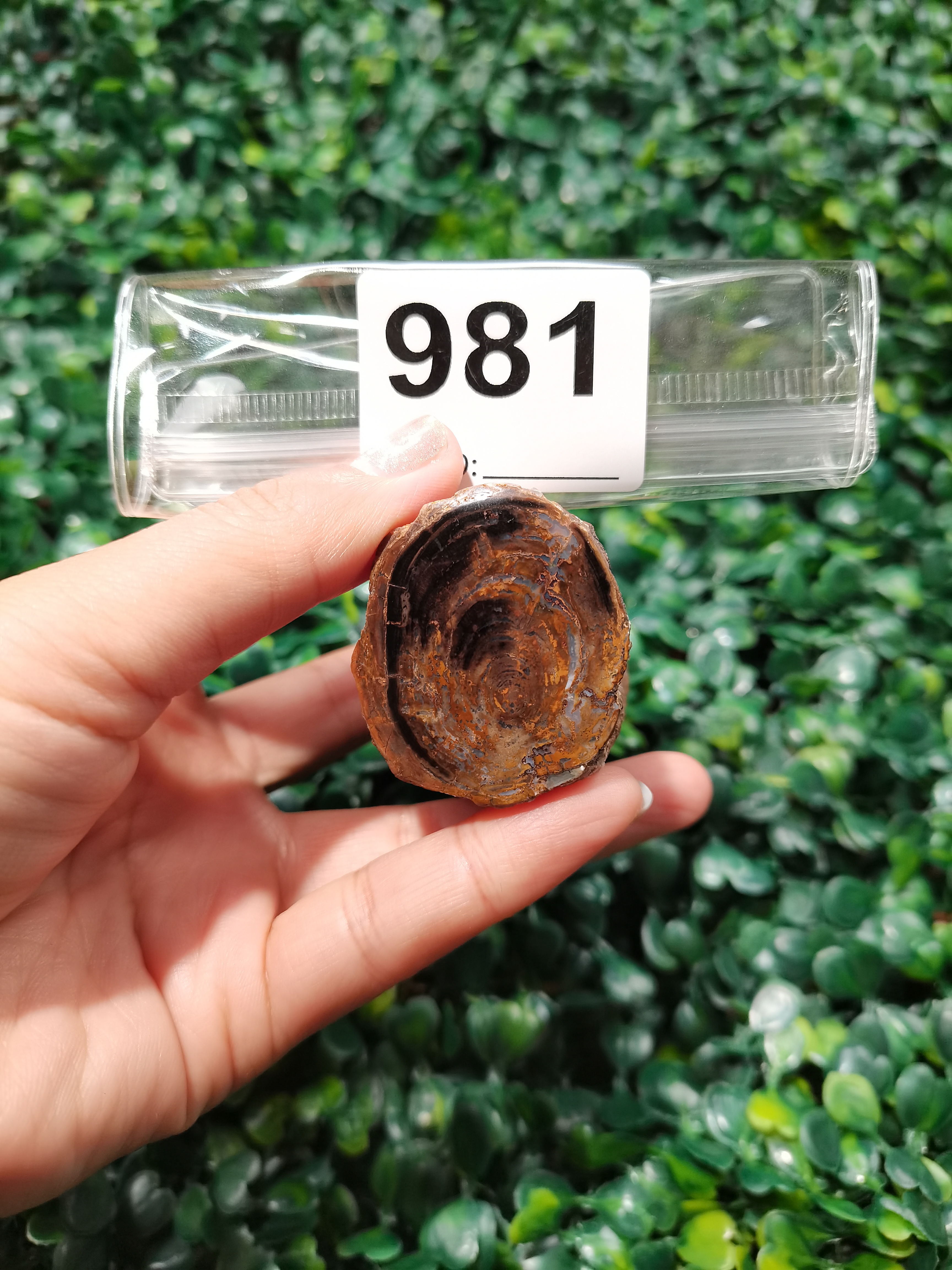 天然北票硅化玉原石高80mm直径40mm