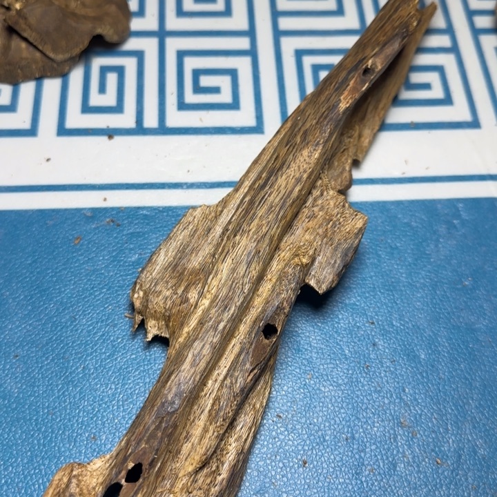 线香绿奇陆河虫漏87克