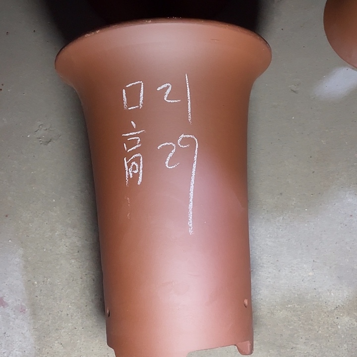 红陶紫砂紫砂z s x
