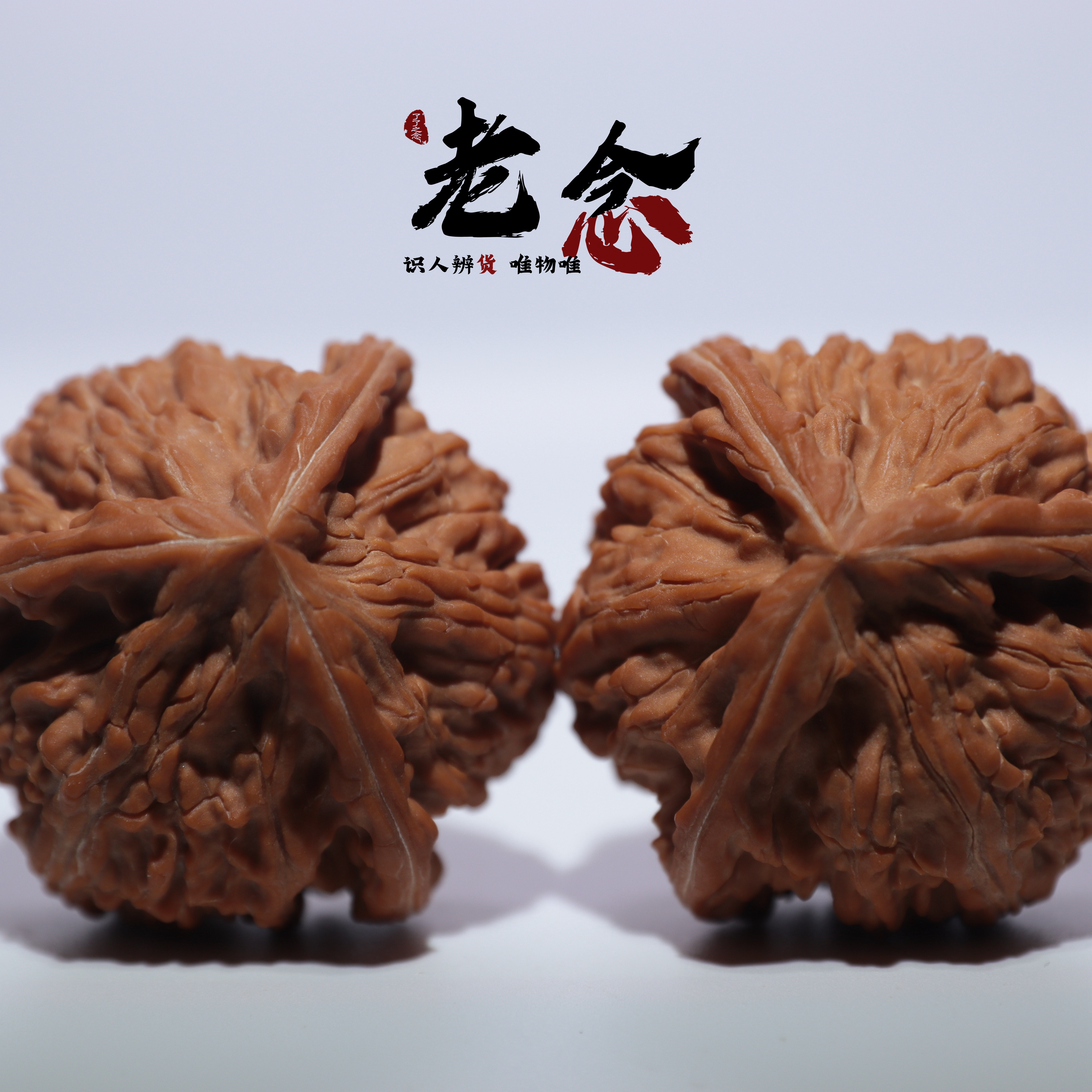 44御龙粗筋正奔 · 高38  一物一图 文玩好物 文山正奔