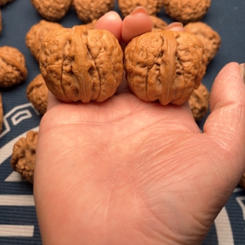 橄榄核手串/手链甲古文40