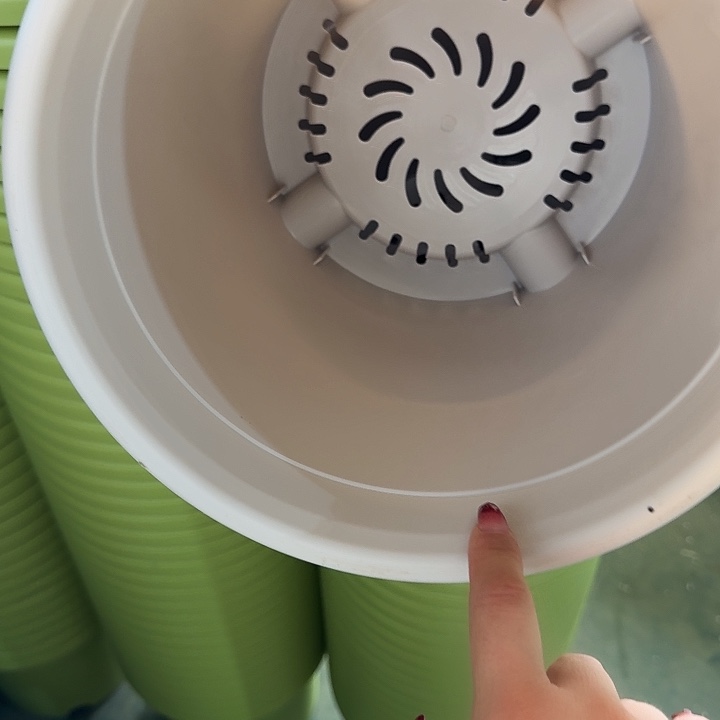 四季4号灰白无托8个特价微瑕