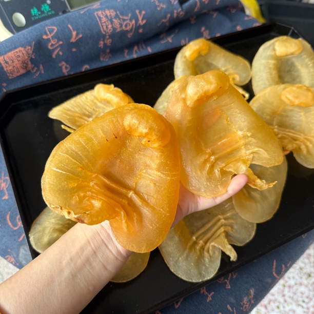 13头500克湛江赤嘴公鱼胶厚肉细腻孕期月子滋补干货鱼肚