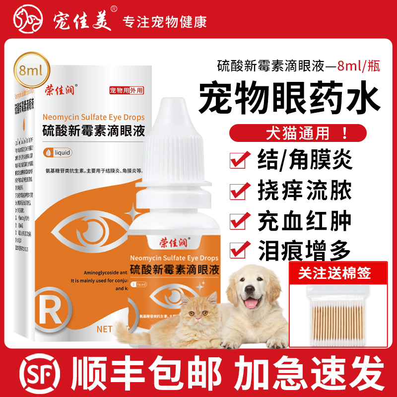 猫咪眼药水眼睛发炎流泪新霉素滴眼液结膜炎泪痕猫鼻支狗狗泪痕