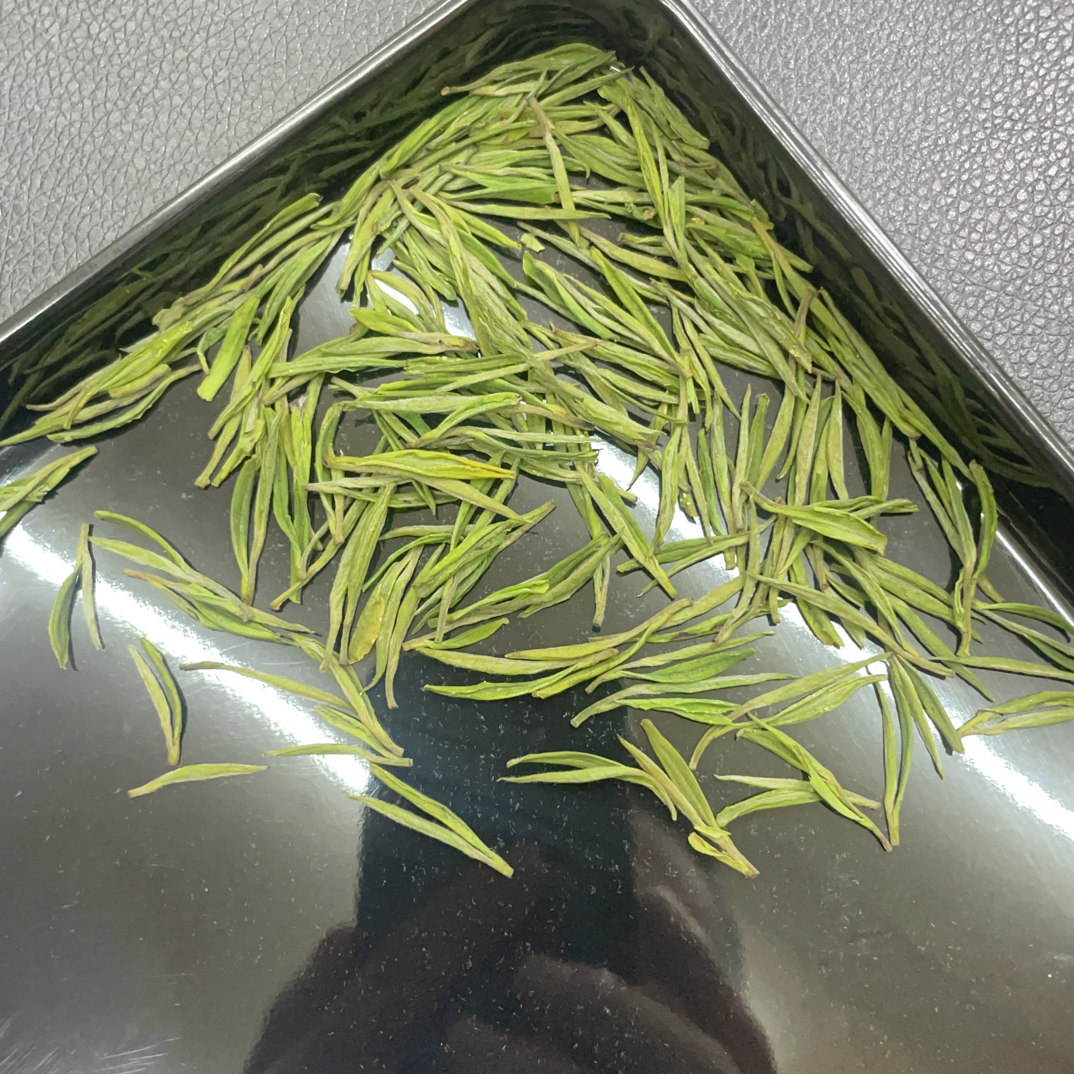 【招牌安吉白茶】2025安吉高山白茶 明前茶 兰花香