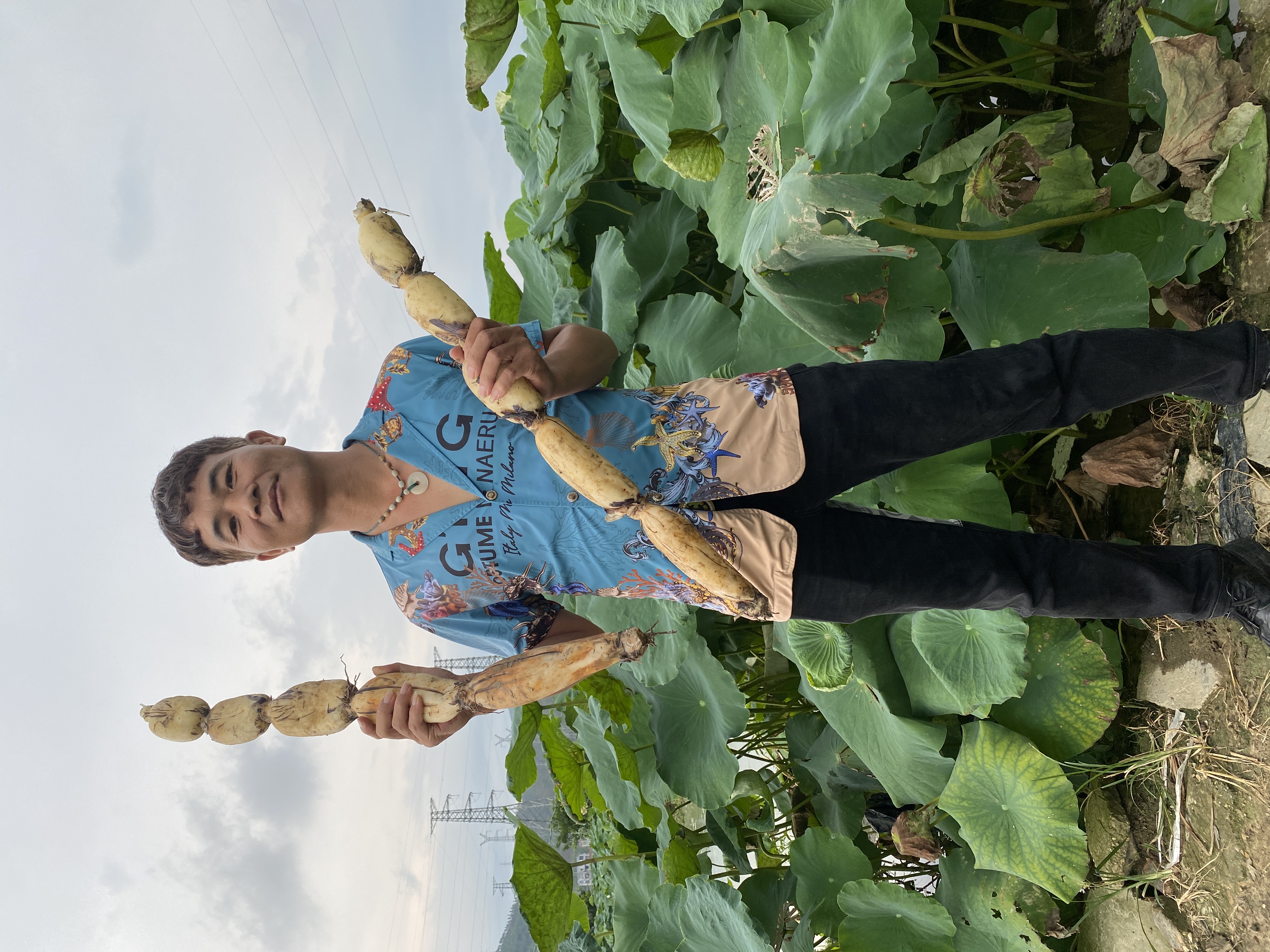 广西特产新鲜脆莲藕清甜可口可煲汤凉拌