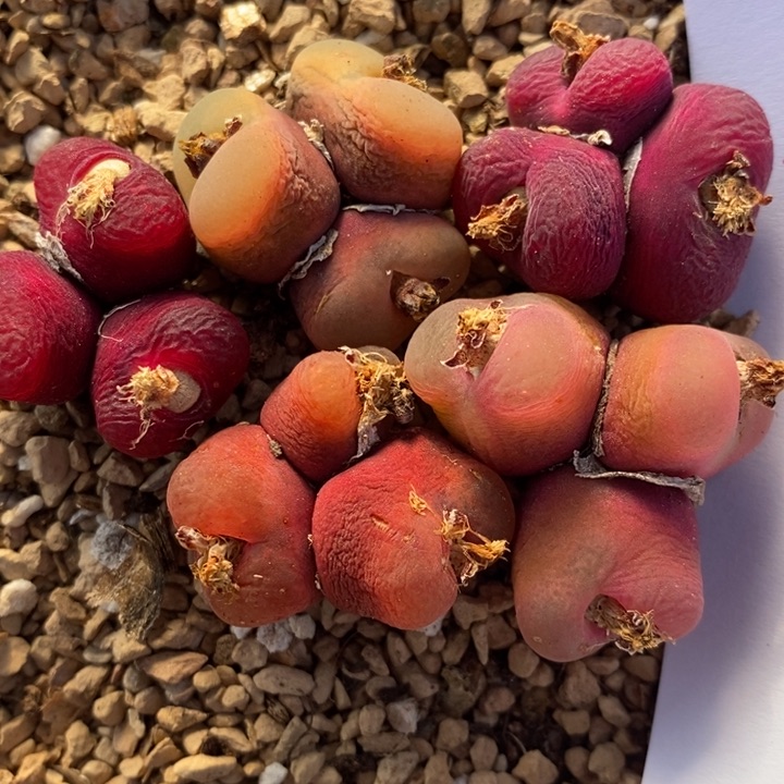 2829一组一组一组