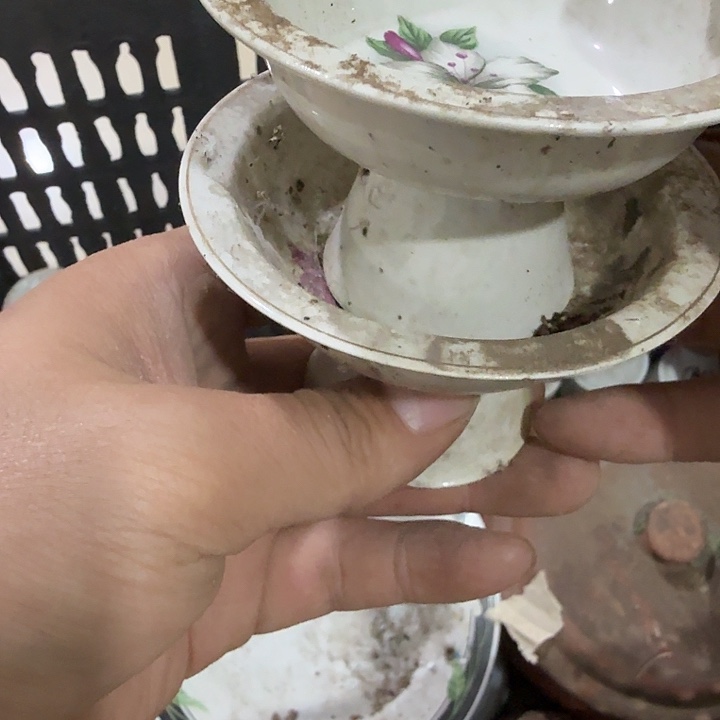 《***售扇子吃哥哥哥哥哥哥哥哥恍恍惚惚好