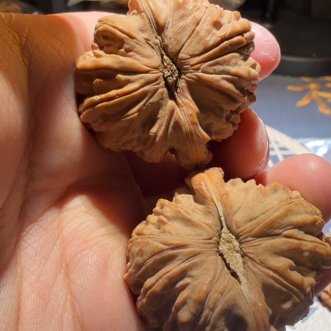 文玩核桃把件白狮子