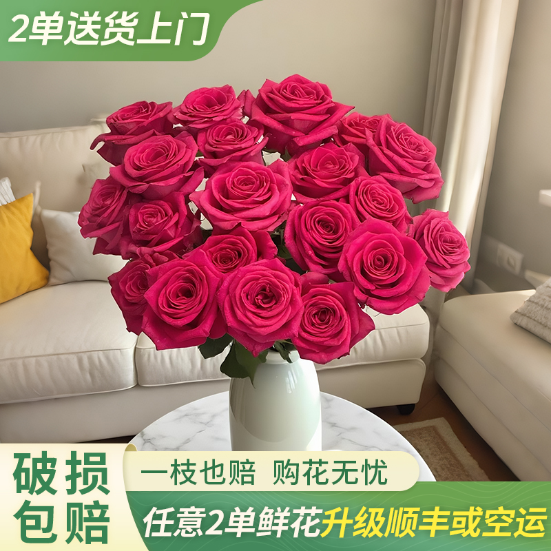 【大聪明卖花】弗洛伊德单头玫瑰-任意两单鲜花升级快递元旦福利