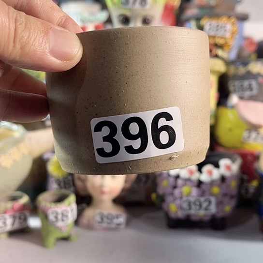 红陶多肉植物花盆