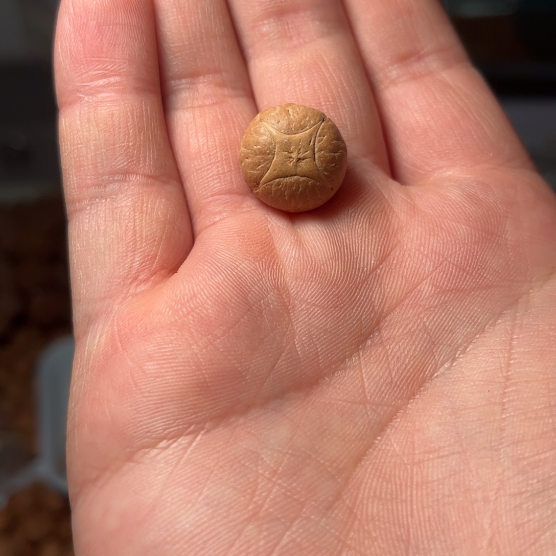 桃核吊坠16mm麒麟眼，开孔不退，偏远不包