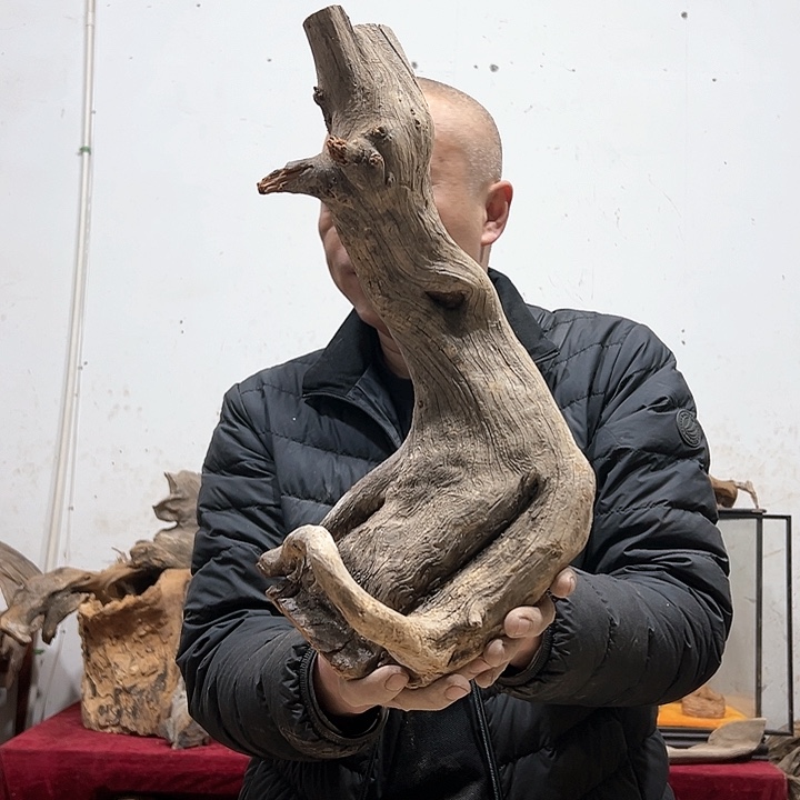 柏木龙*我们的生活也会越来越美好吧