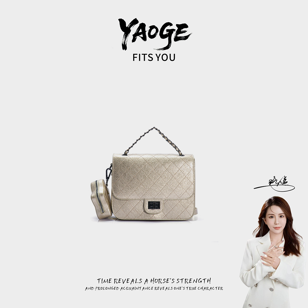 粉丝专享~经典时尚简小众女包潮流百搭优质LY605-金色