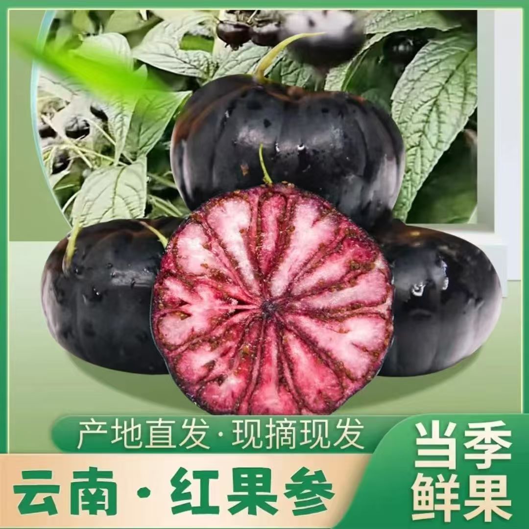 云南蜘蛛果红果参新鲜采摘稀有高原当季鲜果