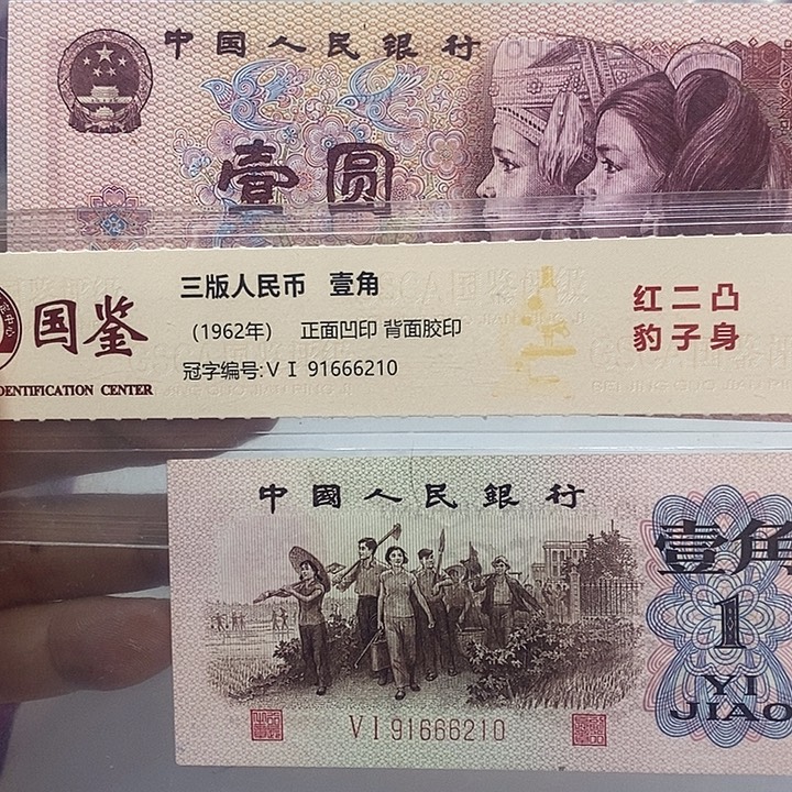 行***伯1-金龙王，01-红二凸