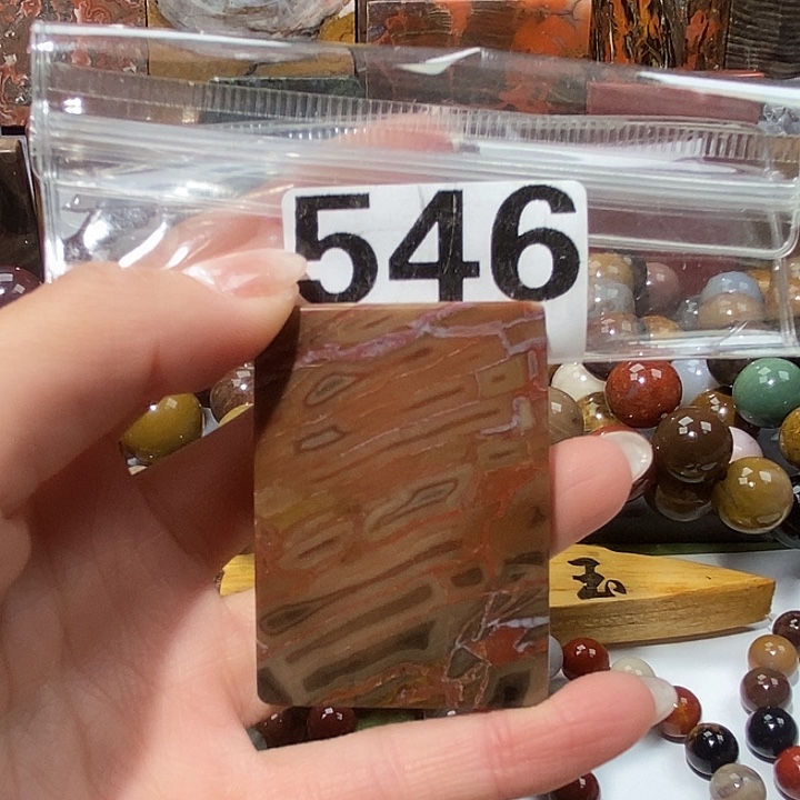 硅化玉未镶嵌天然北票树化玉吊坠