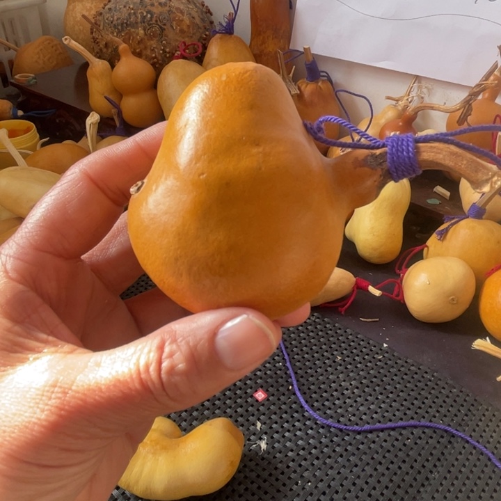 家***爱葫芦哈哈哈哈哈哈哈哈