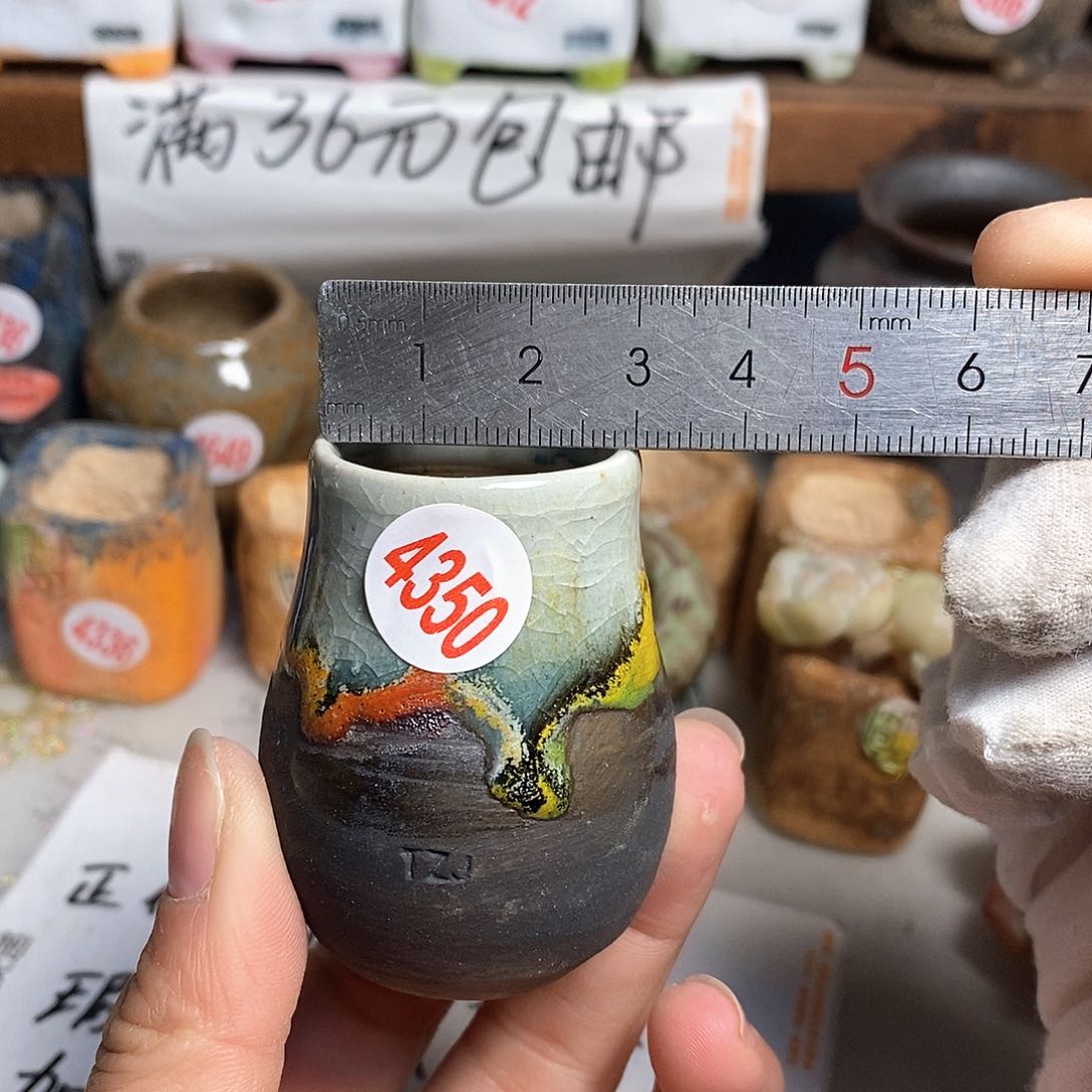 红陶拍5送一个小