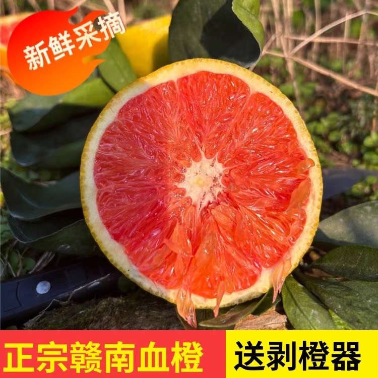 江西赣南新鲜中华红血橙混装香甜多汁当季水果
